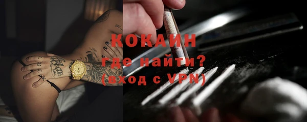 прущий лед Алзамай