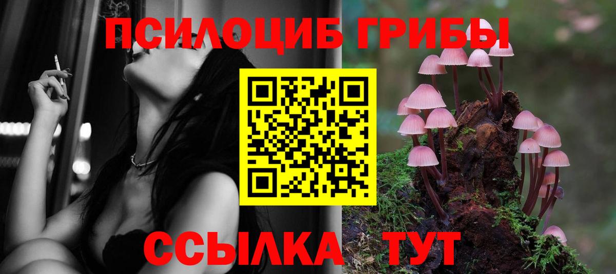 Элиста  Псилоцибиновые грибы GOLDEN TEACHER  Вход с VPN 