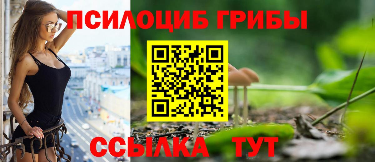 Псилоцибиновые грибы GOLDEN TEACHER Элиста